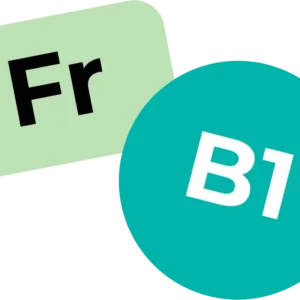 Французский B1 /20.01.26/ онлайн
